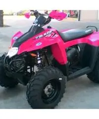 quad polaris 330