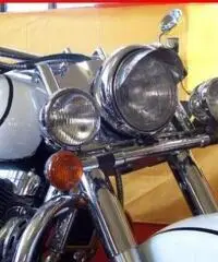 SUZUKI VL 1500 Intruder Intruder LC 1500 BIANCO - 65000