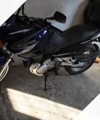 Suzuki XF Freewind 650 - 2000 Suzuki XF Freewind 650 - 2000