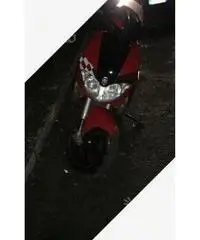 Runner sp 50