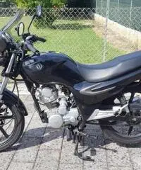 Sym XS 125 Allestimento K