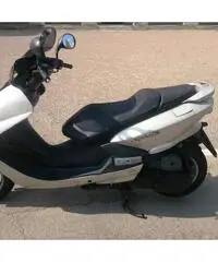 MBK Skyliner 150 del 2001 uguale a Yamaha Majesty MBK Skyliner 150 del 2001 uguale a Yamaha Majesty