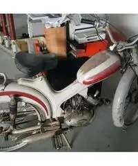 MOTOM Gipsy 50 50cc cc 50 MOTOM Gipsy 50 50cc cc 50