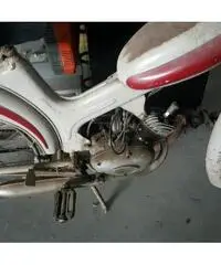MOTOM Gipsy 50 50cc cc 50 MOTOM Gipsy 50 50cc cc 50