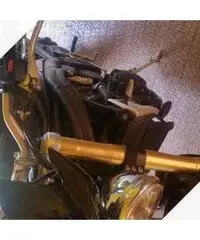 Triumph Speed Triple - 2005 Triumph Speed Triple - 2005