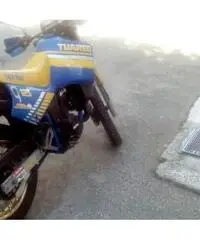 Aprilia Tuareg