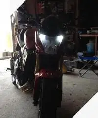 Honda hornet