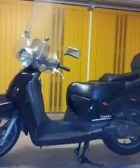 APRILIA Scarabeo tipo veicolo Scooter cc 176 APRILIA Scarabeo tipo veicolo Scooter cc 176