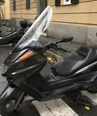 Majesty 250