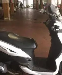 SYM SYMPHONY 125 Bianco