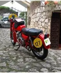MOTO GUZZI NUOVO FALCONE 500 STORICA 1971  NUOVISSIMA! MOTO GUZZI NUOVO FALCONE 500 STORICA 1971  NUOVISSIMA!