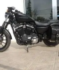 HARLEY DAVIDSON 883 tipo veicolo Custom cc 883