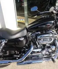 HARLEY DAVIDSON Sportster 1200 tipo veicolo Custom cc 1200