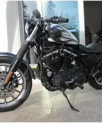 HARLEY-DAVIDSON Sportster 883 Custom cc 883