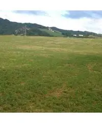 Casale rustico