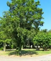 Villa a Savignano sul Rubicone