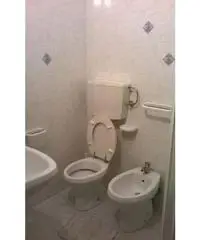 Appartamento in Affitto di 65mq