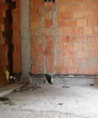 Modena Vendita Appartamento