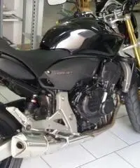 hornet