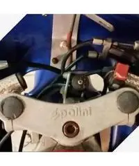 Minimoto polini
