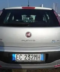FIAT Punto Evo 1.4 5 porte Dynamic Natural Power