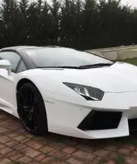 LAMBORGHINI Aventador 6.5 V12 LP700-4 Roadster LAMBORGHINI Aventador 6.5 V12 LP700-4 Roadster