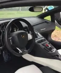 LAMBORGHINI Aventador 6.5 V12 LP700-4 Roadster LAMBORGHINI Aventador 6.5 V12 LP700-4 Roadster