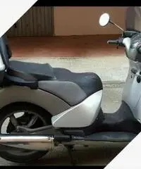 Scarabeo