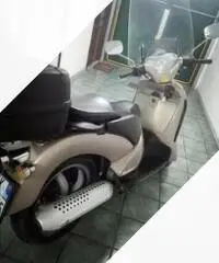 Scarabeo 150 rotax