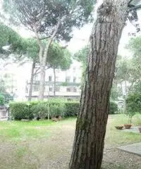 Villa in Vendita - settima traversa