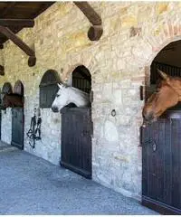 Centro ippico scuderia cavalli