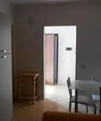 Piacenza Affitto Appartamento