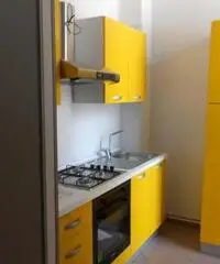 Piacenza Affitto Appartamento