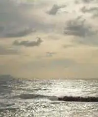 Appartamento in Affitto a 420