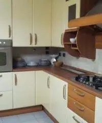 Appartamento in Affitto a 1.000