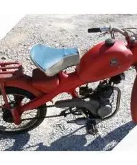 Motom 50