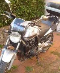 vendo honda 600 cbf