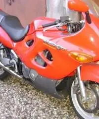 SUZUKI GSX tipo veicolo Turismo cc 600
