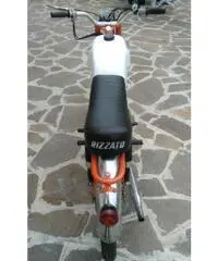 ATALA RINGO 50