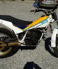 Fantic trial 303 con documenti