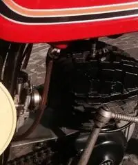 Montesa 250