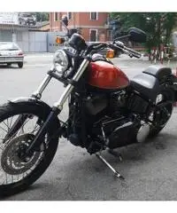VENDESI HARLEY DAVIDSON SOFTAIL BLACK LINE