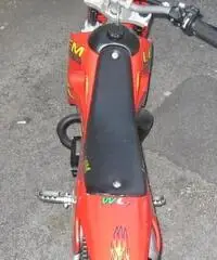 LEM MOTOR CROSS LX4 Cross cc 50
