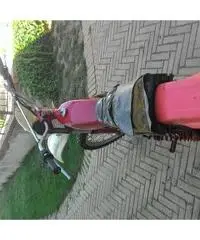 aprilia rc 50 aprilia rc 50
