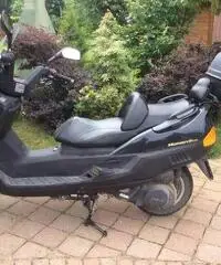 LINHAI LH 250 T LC Monarch Scooter cc 250