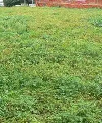 Chions Vendita Terreno Chions Vendita Terreno