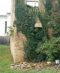 Chions Vendita Terreno Chions Vendita Terreno