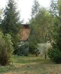 Malborghetto Valbruna: Casa indipendente 5 Locali o piu