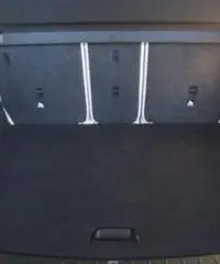 BMW Serie 2 220d Active Tourer Advantage - PELLE - NAVIGAT - SENS.PARK - EURO 6 - FULL