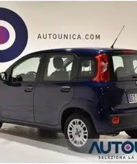 FIAT Panda 1.2 EASY SOLO 28.000 KM NEOPATENTATI NUOVA FIAT Panda 1.2 EASY SOLO 28.000 KM NEOPATENTATI NUOVA
